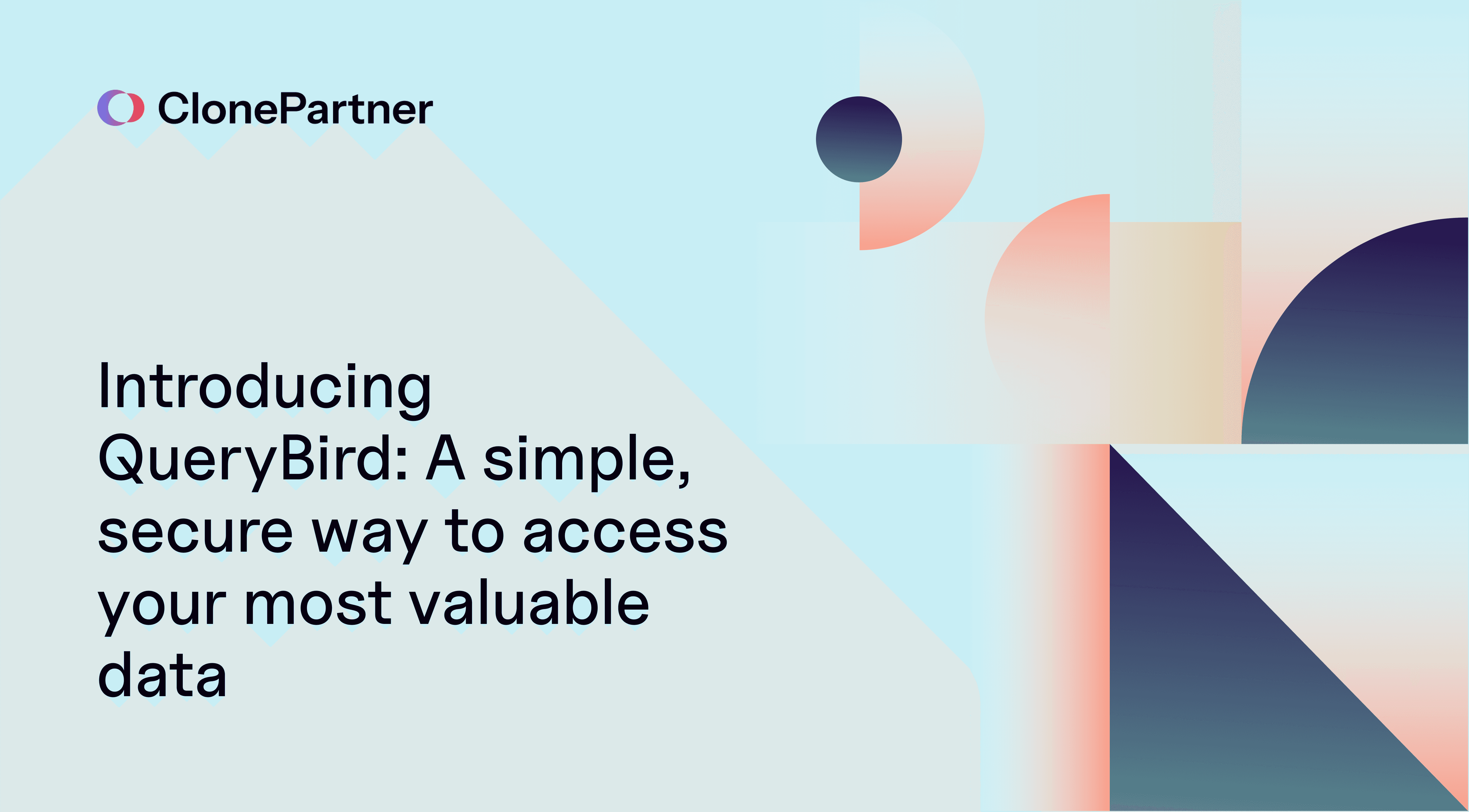 Introducing QueryBird: A simple, secure way to access your most valuable data