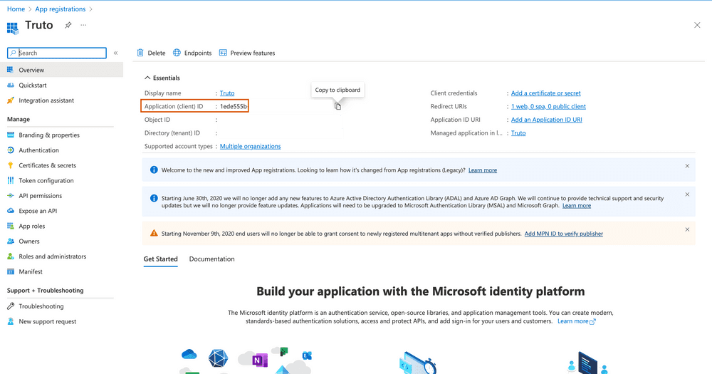 Overview page of a registered application in Azure with the Application client ID highlighted for copying.